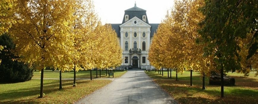 Malířské a natěračské práce Kravaře