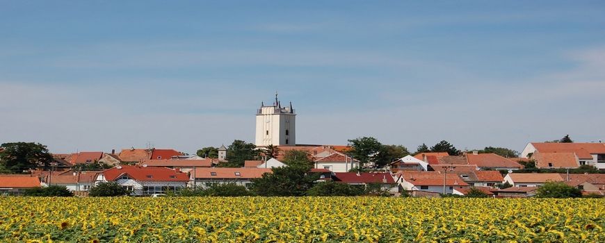 Malířské a natěračské práce  Podivín