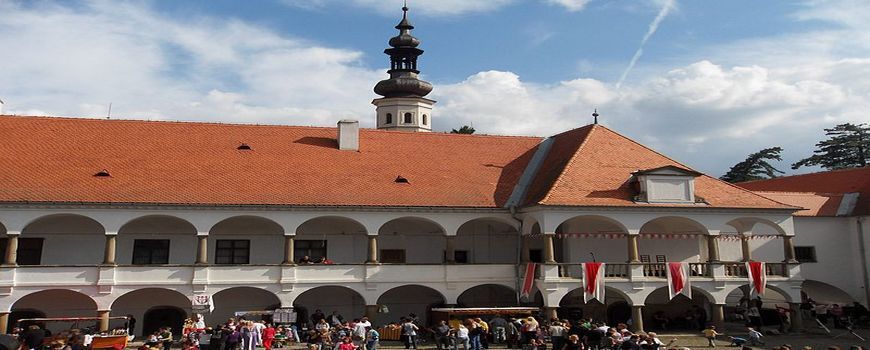 Malířské a natěračské práce  Oslavany