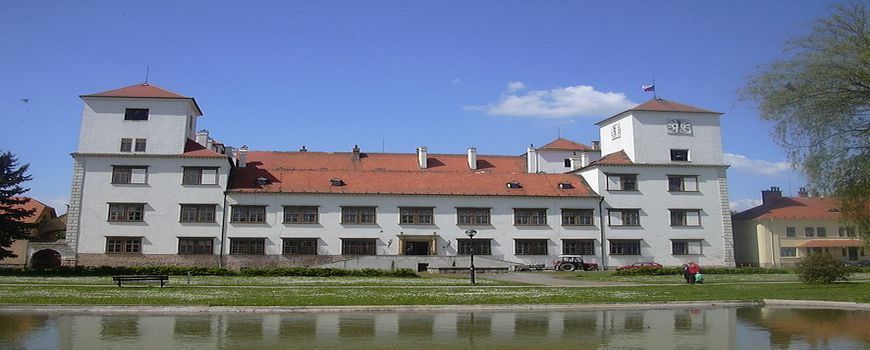 Malíř pokojů   Bučovice